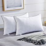 JOLLYVOGUE Pillows Queen Size 2 Pack for Sleeping, Soft and Supportive Bed Pillow for Side and Back Sleeper, Down Alternative Hotel Collection Pillows-20 x30