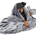 Kritter Planet Dog Blankets for Lar