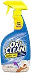 OxiCleanTM Carpet & Area Rug Stain Remover Spray, 24 oz
