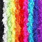QUEFE 10pcs 6.6ft Colorful Feather 
