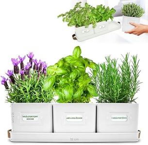 Green Thumbz Herb Pots for Kitchen Windowsill - Set of 3 Warm Stone Herb Planter Indoor with Leather Handled Tray - Ideal for an Indoor Herb Garden, Plants and Flowers - Labels Included