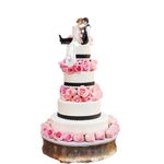 Wedding Cake Toppers, Bride and Groom Cake Topper Figures Romantic Bride Groom Love Cake Topper Figurines Fun Cake Topper for Engagement Wedding Anniversary Decorations Gifts