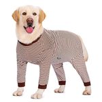 Axcimond Dog Recovery Suit Long Sleeve Dog Onesie with Zipper Dog Bodysuit After Surgery Dog Surgical Suit Post Spay/Neuter Wounds Protector Female/Male Dogs Medical Pet Shirt Dog Cone Alternative