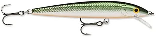 Rapala Husky Jerk 10 Fishing lure (Tennessee Shad, Size- 4)