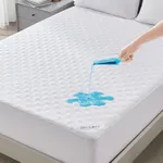 BEDLORE Waterproof Mattress Protect