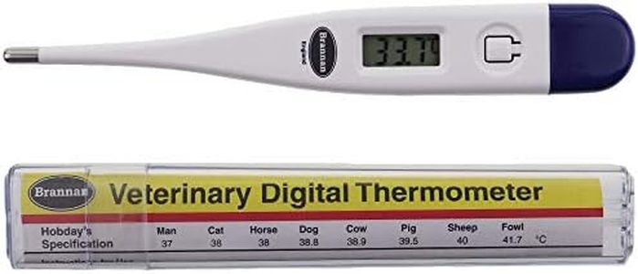 Digital Ve