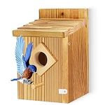 Waterproof Wooden Blue Bird House, 