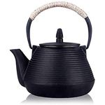 TOWA Workshop Japanese Tetsubin Tea Kettle Cast Iron Teapot with Stainless Steel Infuser (900ml)