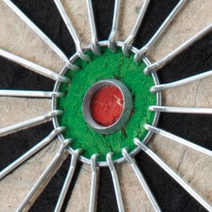 Viper Shot King Steel Tip Dartboard – Regulation Size, Staple-Free Bullseye