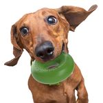 Goughnuts Indestructible Small Dog Chew Toy Ring for Aggressive Chewers from 10-40 Pounds. Durable Rubber Dog Chew Toy for Small Breeds and Power Chewers in Green