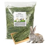 OHCOOL Timothy Hay 500g - Dust Free Natural Green Fresh Food Hay for Rabbits Tortoise Guinea Pig Chinchilla