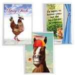 NobleWorks Assorted 3 Pack, Hysterical Animal Women's Birthday Greeting Cards with 5 x 7 Inch Envelopes (3 Designs, 1 Each) Wild Life VC2806BDG-C1x3