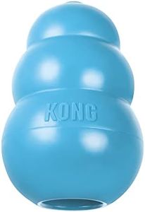 KONG Puppy