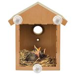 Furniture Creations Bird Houses