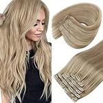 Sunny Clip in Hair Extensions Blond