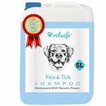 VetSafe Flea and Tick Shampoo, 5000ML, Blue