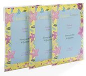 Hassett Green London - Hand Made Scented Sachet Large Three Pack - Honeysuckle & Jasmine - For Wardrobes and Drawers