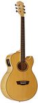 Wahsburn Festival Series EA20 Acoustic Guitar