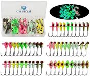 Small Ice Fishing Jigs Assortment Glow in The Dark, 50 PCs, 1/15 oz Ice Fishing Hooks Luminous, CWSDXM Ice Fishing Lures Jig Heads for Panfish, Catchers Gear for Winter Crappie Walleye Trout Perch(50)