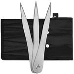 Hitdudu The Beak- Throwing Spikes 3Pack Set - 0.236" Thick Premium Stainless Steel Throwing Set with Sheath for Beginner or Pro