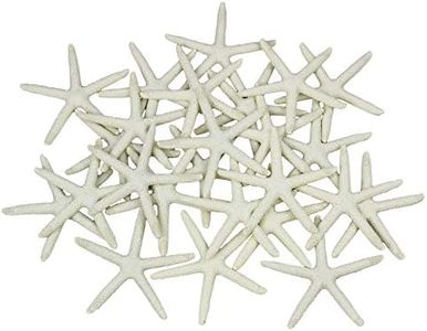 LJY 25 Pieces 3.15 Inches Beige Resin Pencil Finger Starfish for Wedding Home Decor and Craft Project