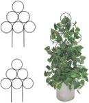 2 Pcs Small Metal Plant Trellis,Sta