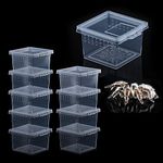 10 Pcs Insect Spider Terrariums Breeding Box Hatching Container Small Reptile Scorpion Centipede Acrylic Breeding Box (Small Size)