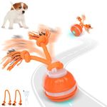 IOKHEIRA Dog Ball, Interactive Dog Toys, Dog Active Rolling Ball, Motion-Activated Fun, smart ball USB Rechargeable, with Two Chew Ropes for Small and Medium Dogs