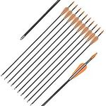 Fiberglass Practice Arrows Archery 