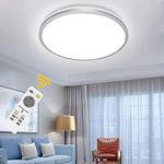 DLLT Dimmable LED Flush Mount Ceiling Light with Remote Control, 15 Inch 35W LED Ceiling Lights, Modern Ceiling Light Fixture for Bedroom, Living Room, Kitchen, Hallway, 3 Color Changeable, Silver