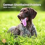 2025 German Shorthaired Pointers Monthly Wall Calendar by Bright Day, 12 x 12 Inch Cute Dog Breed Gift