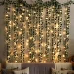 Aesthetic Fairy Lights