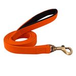 PetWale Dog Leash with Padded Handle | Suited for Walking, Running, Training & More | Orange Fabric | Easy to Clean & Maintain | Durable & Sturdy | L: 5 feet, W: 0.75 inches