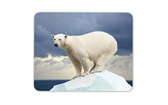 Destination Vinyl Ltd Polar Bear Mouse Mat Pad - Iceberg Wild Animal Bears Fun Gift PC Computer #8586