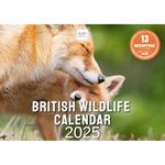 Calendar 2025 British Wildlife - Space For Notes Across 13 Months. Beautiful Images & Print. Recyclable Calendar Printed in UK by Ruby Ashley®