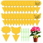 Fruit Fly Trap, 24 PCS Yellow Sticky Fly Traps Killer Fungus Gnat Sticky Traps, Double-Sided Fly Catchers for Protect Plants and Control Indoor Plant Bug, Fly Paper for Flies Mosquitoes Fungus Gnats