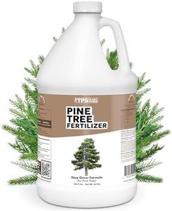 Pine Tree