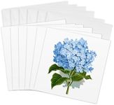 3dRose gc_151419_1 6 x 6-Inch "Blue Hydrangea Flowers Vintage Art Floral Drawing Summery Flowery Spring Antique Image" Greeting Card