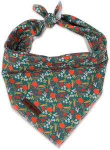 LIONET PAWS Fall Dog Bandana for Small Medium Large Dogs-Teal Pumpkin L