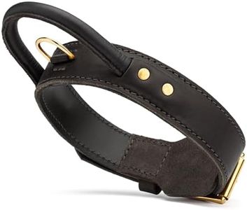 Viper Heavy Duty Leather Dog Collar with Handle – Adjustable, Durable & Comfortable | Solid Brass Hardware & Fur Protection Plate for Training & Everyday Use
