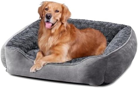 JOEJOY Dog