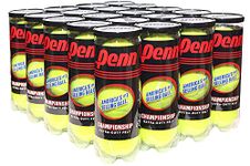 Penn Player Pack - 20 Cans(60 Balls Total)