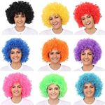 Hatstar Afro Curly Wig Rasta Afro Wig for Carnival and Fancy Dress (Afro Brown 140g)