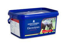 Horse Electrolyte Supplements