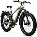 VEEFA E1 Electric Bike for Adults 7