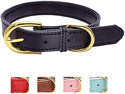 Ozpaw Padded Leather Dog Collar for Puppies Small Medium Dogs and Cats (Medium, Black)