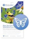 WindowAlert Butterfly Anti-Collision Decal - UV-Reflective Window Decal to Protect Wild Birds from Glass Collisions - Made in The USA