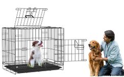 KittuPet Dog Cage Double Door Heavy Duty Folding Metal Kennel for Large Size Dogs and Adults (Large Size 36INCH, Crate Pan)