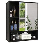 Medicine Cabinet For Over Toilet