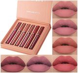 6Pcs Matte Liquid Lipstick Makeup Set, Matte liquid Long-Lasting Wear Non-Stick Cup Not Fade Waterproof Lip Gloss (Set B)